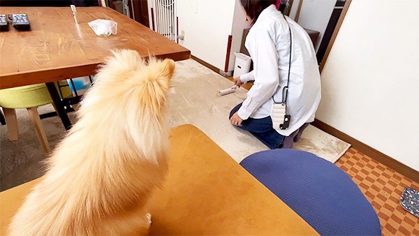 うに きょうのわんこ 写真2