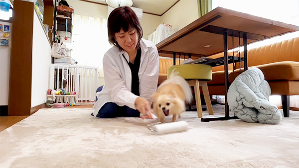 うに きょうのわんこ 写真4