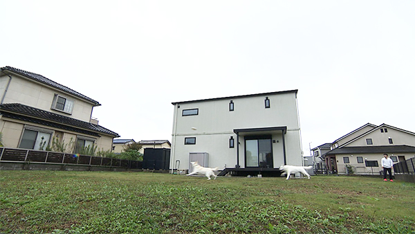 キオラ&ネリエル きょうのわんこ 写真3