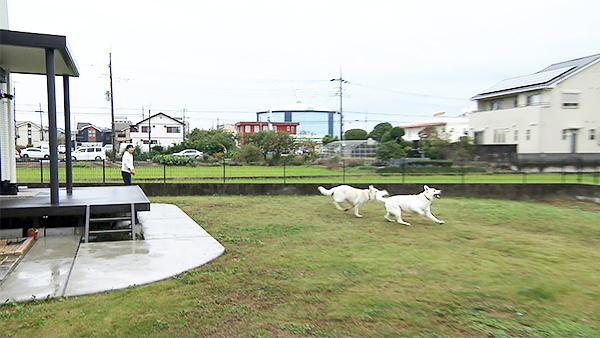 キオラ&ネリエル きょうのわんこ 写真6