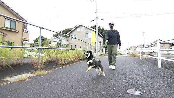 まめ きょうのわんこ 写真2