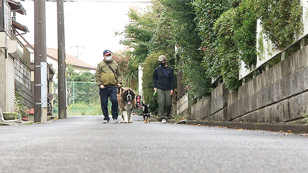 まめ きょうのわんこ 写真5