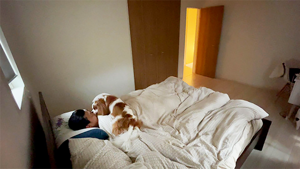 カルル きょうのわんこ 写真2