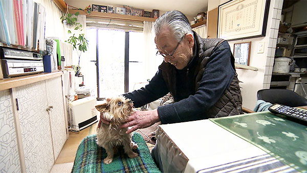 ダッフィ きょうのわんこ 写真4
