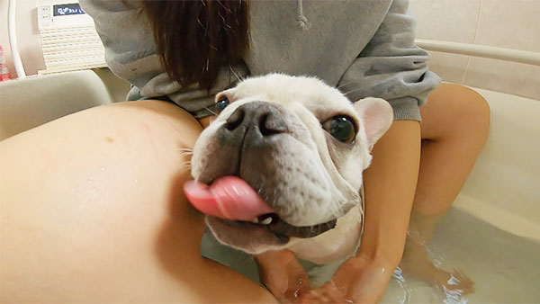 おたけ きょうのわんこ 写真2