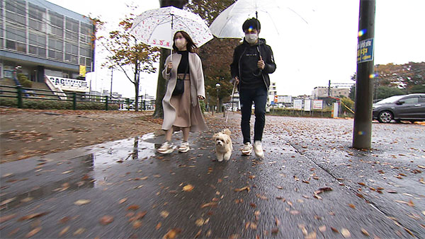 ブラン きょうのわんこ 写真2