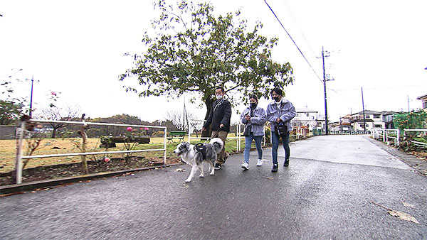 クロエ きょうのわんこ 写真2