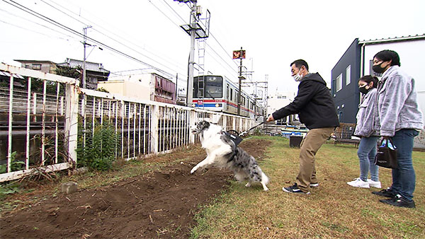 クロエ きょうのわんこ 写真4