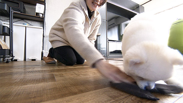 むぎ きょうのわんこ 写真3