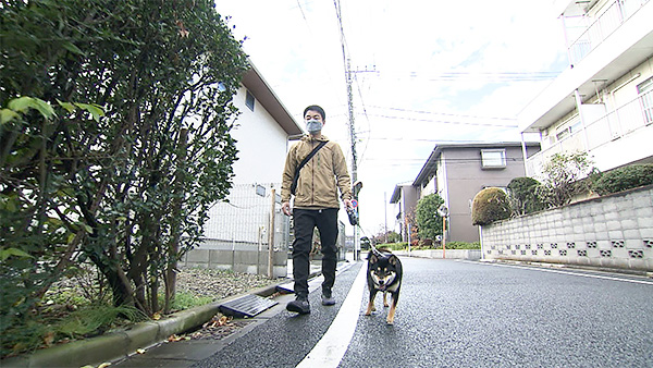 素生 きょうのわんこ 写真2