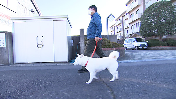 ゆき きょうのわんこ 写真2