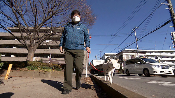 ゆき きょうのわんこ 写真3