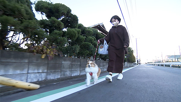 シェリー きょうのわんこ 写真2