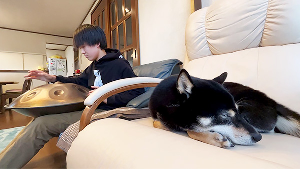 やまと きょうのわんこ 写真3
