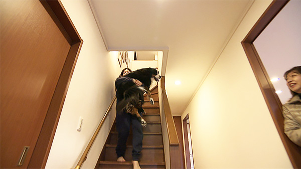 モコ きょうのわんこ 写真2