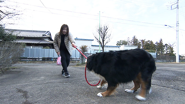 モコ きょうのわんこ 写真3