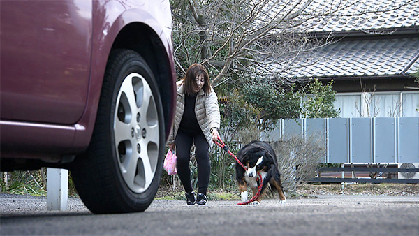 モコ きょうのわんこ 写真4