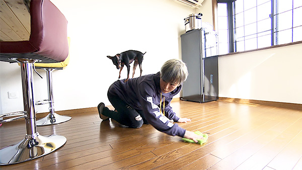 にゃん きょうのわんこ 写真3
