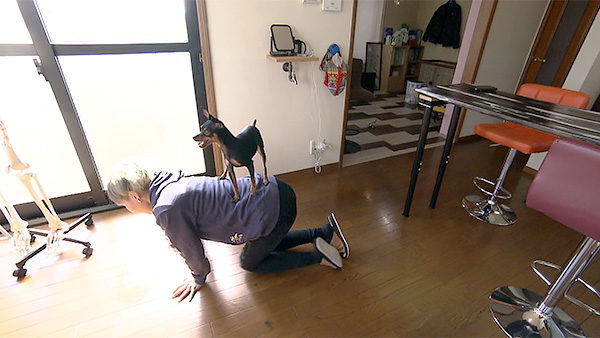にゃん きょうのわんこ 写真5
