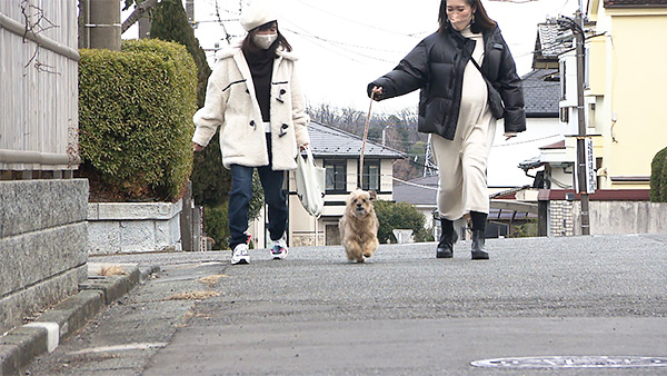 ピッコロ きょうのわんこ 写真4