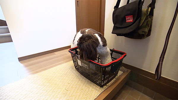 ユロ きょうのわんこ 写真3