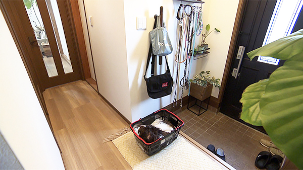 ユロ きょうのわんこ 写真5