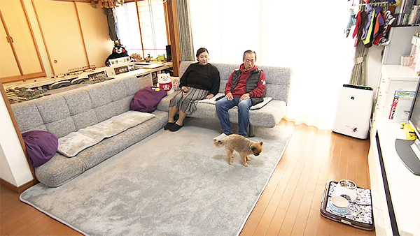 茶々丸 きょうのわんこ 写真5