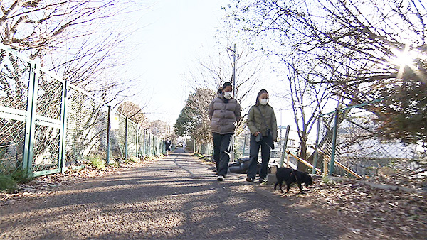 テディー きょうのわんこ 写真3