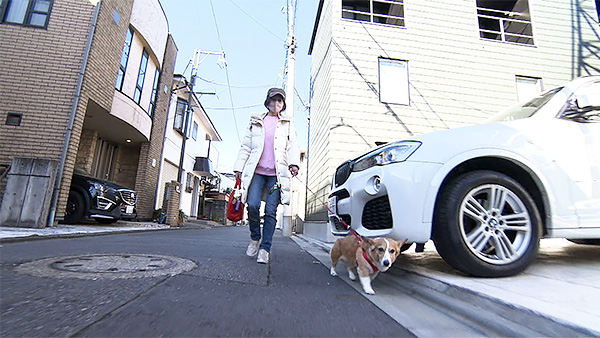 ピーチ きょうのわんこ 写真2