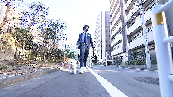 ツキジロー きょうのわんこ 写真3