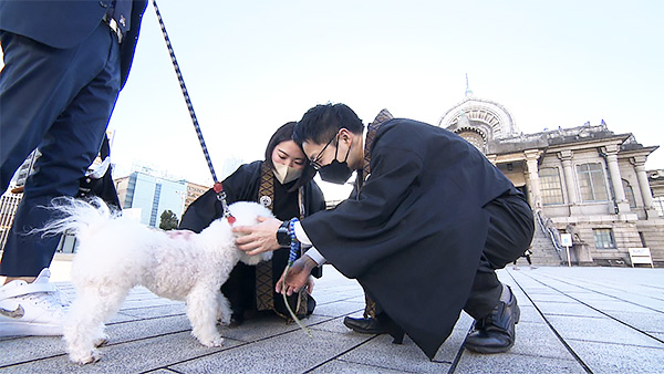 ツキジロー きょうのわんこ 写真5