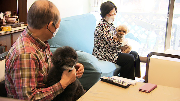 はるきち きょうのわんこ 写真2