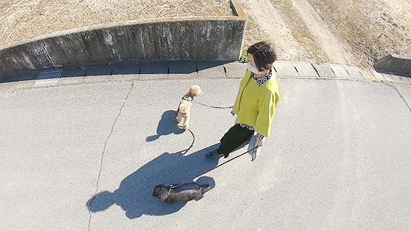 はるきち きょうのわんこ 写真3