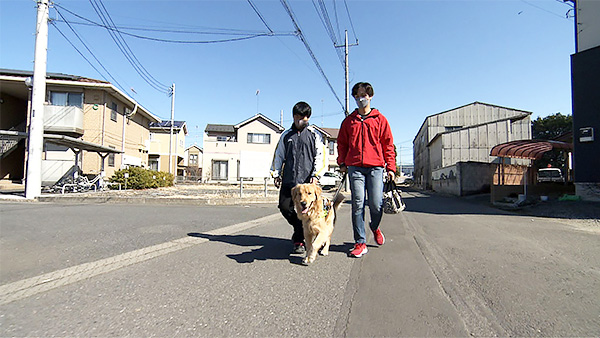 小十郎 きょうのわんこ 写真2