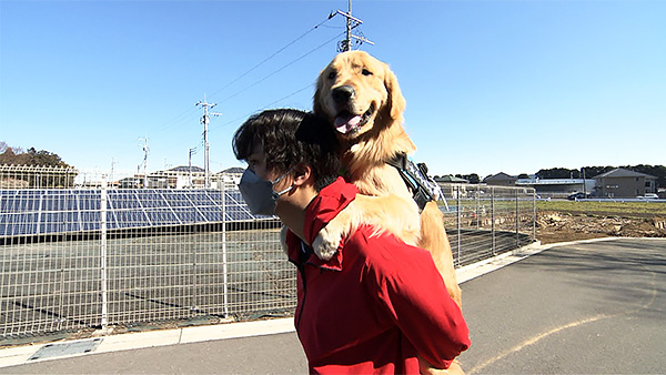 小十郎 きょうのわんこ 写真4