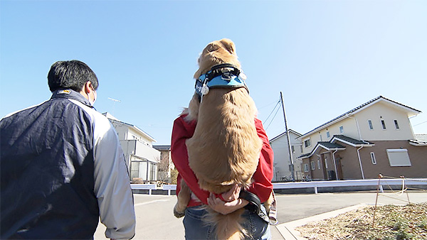 小十郎 きょうのわんこ 写真5