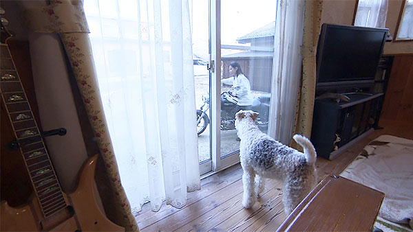 ロペス きょうのわんこ 写真2