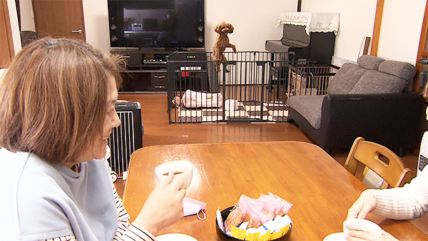 メル きょうのわんこ 写真2