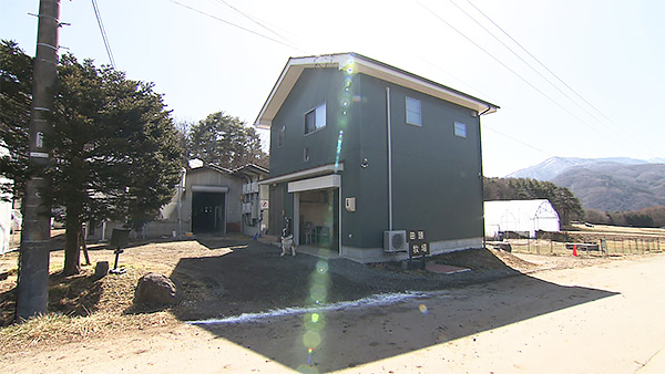 みそかつ きょうのわんこ 写真3