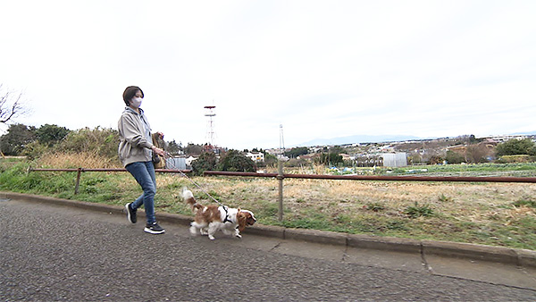 謙信 きょうのわんこ 写真2