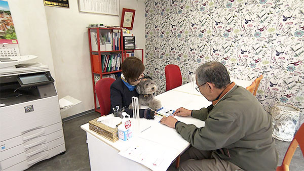 ふくすけ きょうのわんこ 写真4