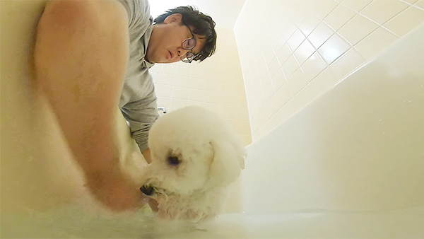 ミュクレ きょうのわんこ 写真4