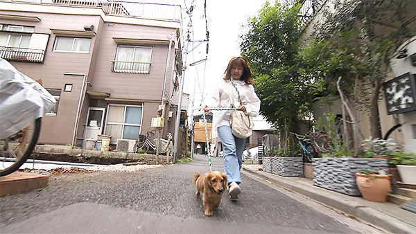 シンバ きょうのわんこ 写真2