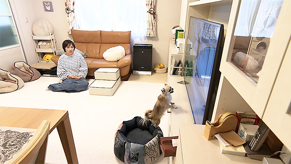 レイ きょうのわんこ 写真5