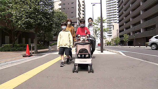 マックス きょうのわんこ 写真3