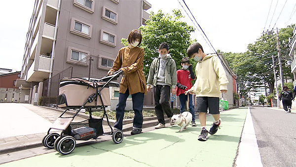 マックス きょうのわんこ 写真5