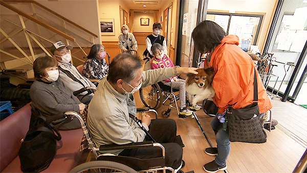 桃 きょうのわんこ 写真4