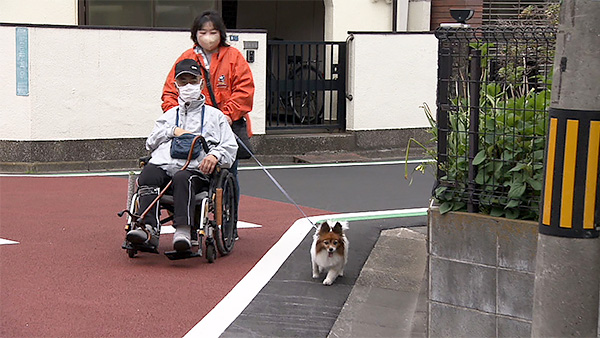 桃 きょうのわんこ 写真5