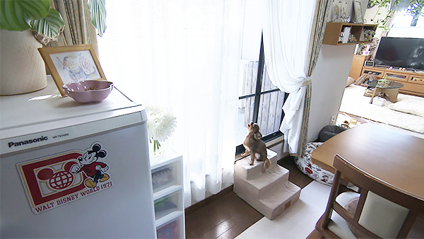 こはる きょうのわんこ 写真5