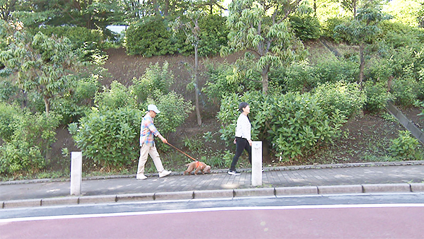 ゆう きょうのわんこ 写真5